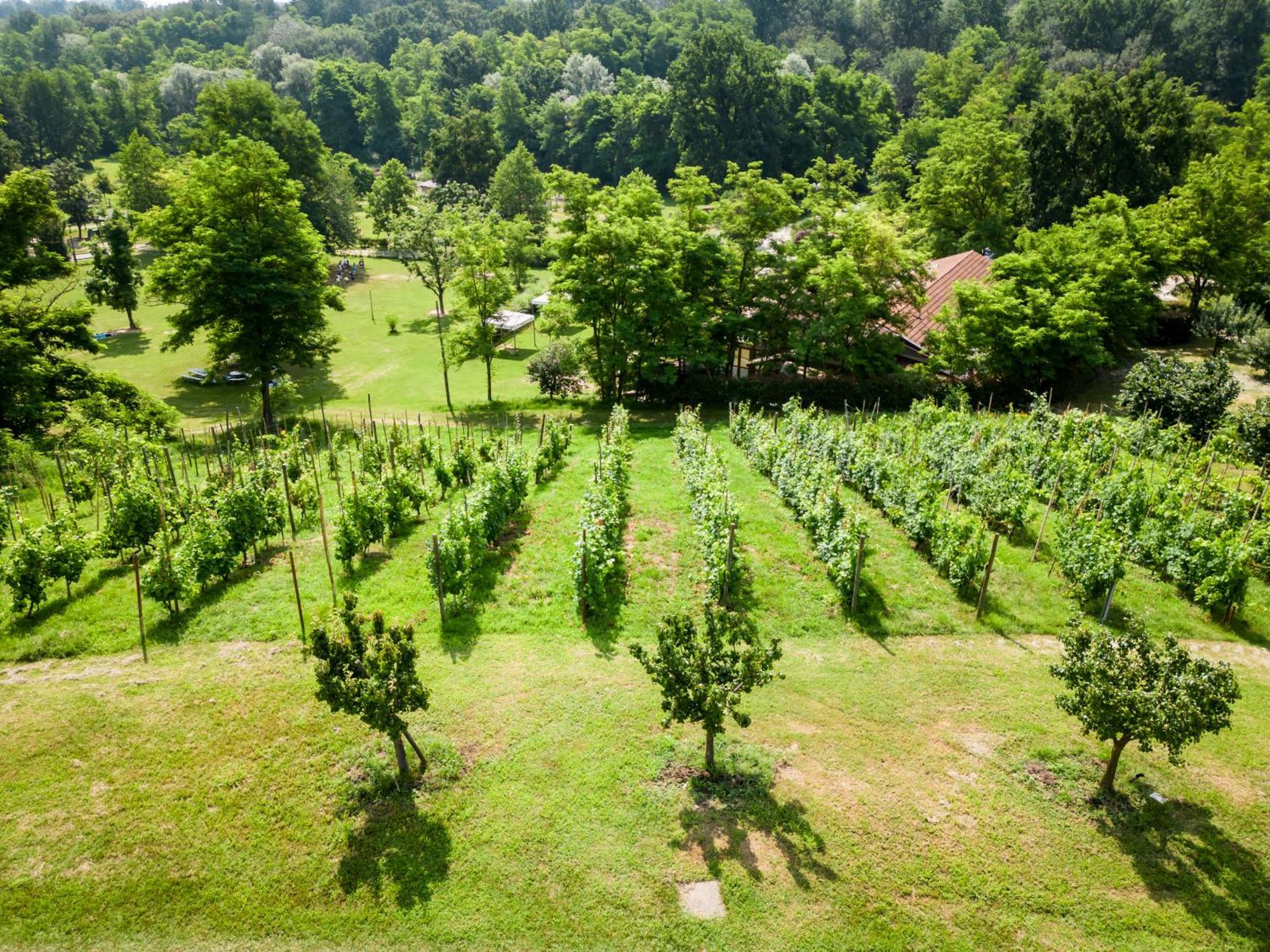 Agriturismo Parco Campofelice Lombardore Luaran gambar
