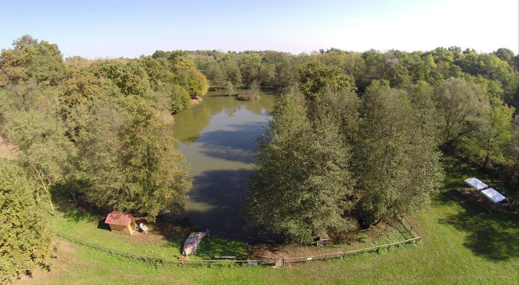 Agriturismo Parco Campofelice Lombardore Luaran gambar